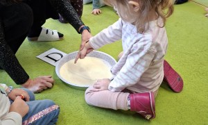 Sówki: Styczeń 2026 - Zdjęcie 6