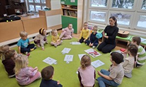 Sówki: Styczeń 2026 - Zdjęcie 10