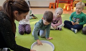 Sówki: Styczeń 2026 - Zdjęcie 13