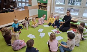 Sówki: Styczeń 2026 - Zdjęcie 14