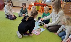 Sówki: Styczeń 2026 - Zdjęcie 23