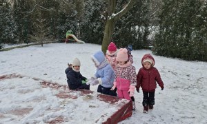 Sówki: Styczeń 2026 - Zdjęcie 26