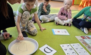 Sówki: Styczeń 2026 - Zdjęcie 35