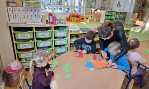 Sówki: Styczeń 2026 - Zdjęcie 36