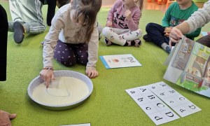 Sówki: Styczeń 2026 - Zdjęcie 42