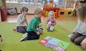 Sówki: Styczeń 2026 - Zdjęcie 50