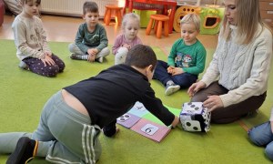 Sówki: Styczeń 2026 - Zdjęcie 52