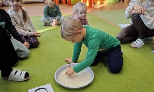 Sówki: Styczeń 2026 - Zdjęcie 54