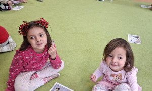 Sówki: Styczeń 2026 - Zdjęcie 61