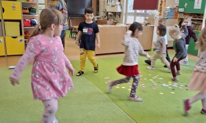 Sówki: Styczeń 2026 - Zdjęcie 15