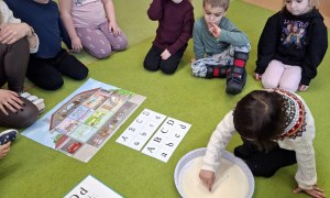 Sówki: Styczeń 2026 - Zdjęcie 40