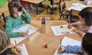 Sówki: Styczeń 2026 - Zdjęcie 44