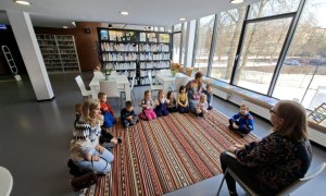 Sówki: Styczeń 2026 - Zdjęcie 49