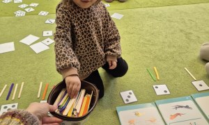 Sówki: Styczeń 2026 - Zdjęcie 55