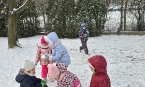 Sówki: Styczeń 2026 - Zdjęcie 57