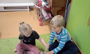 Sówki: Styczeń 2026 - Zdjęcie 60