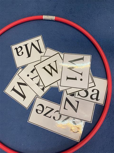 Misie: Styczeń 2026 - Zdjęcie 10