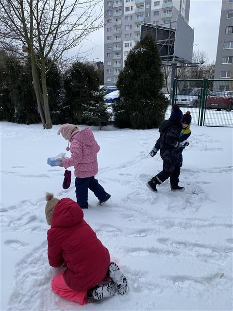 Misie: Styczeń 2026 - Zdjęcie 31