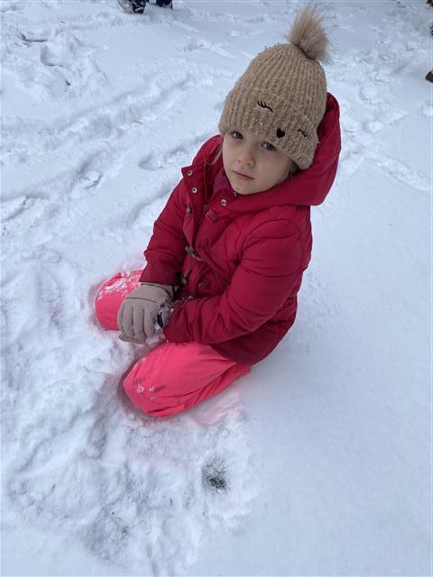 Misie: Styczeń 2026 - Zdjęcie 33