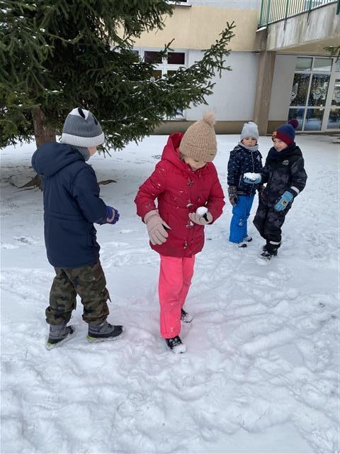 Misie: Styczeń 2026 - Zdjęcie 36