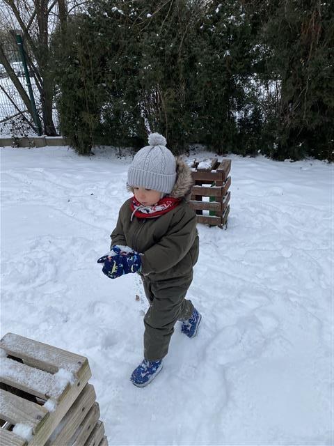 Misie: Styczeń 2026 - Zdjęcie 39