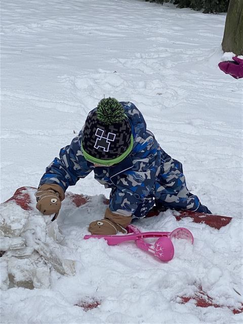 Misie: Styczeń 2026 - Zdjęcie 40