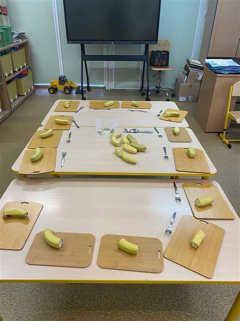 Misie: Styczeń 2026 - Zdjęcie 112