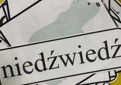 Misie: Styczeń 2026