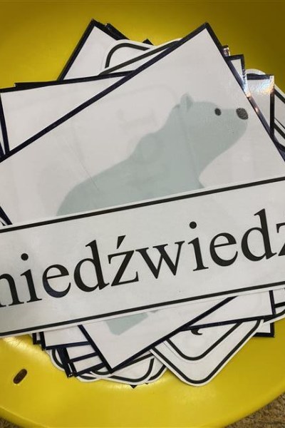 Misie: Styczeń 2026