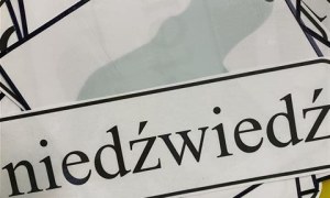 Misie: Styczeń 2026 - Zdjęcie 1