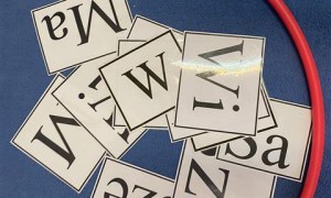 Misie: Styczeń 2026 - Zdjęcie 10