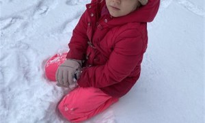 Misie: Styczeń 2026 - Zdjęcie 33