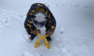 Misie: Styczeń 2026 - Zdjęcie 34