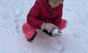 Misie: Styczeń 2026 - Zdjęcie 37