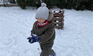 Misie: Styczeń 2026 - Zdjęcie 39