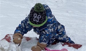 Misie: Styczeń 2026 - Zdjęcie 40