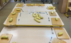 Misie: Styczeń 2026 - Zdjęcie 112