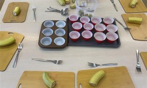 Misie: Styczeń 2026 - Zdjęcie 113