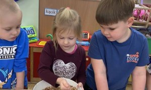 Misie: Styczeń 2026 - Zdjęcie 118