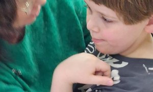 Muminki: Luty 2026 - Zdjęcie 4