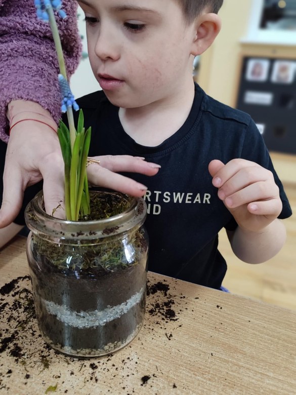 Tygryski: Styczeń 2026 - Zdjęcie 10