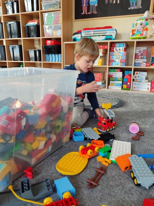 Tygryski: Styczeń 2026 - Zdjęcie 11