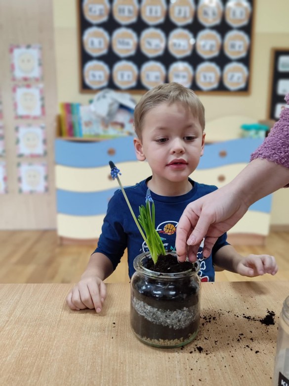 Tygryski: Styczeń 2026 - Zdjęcie 22