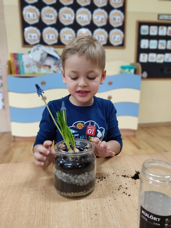 Tygryski: Styczeń 2026 - Zdjęcie 27