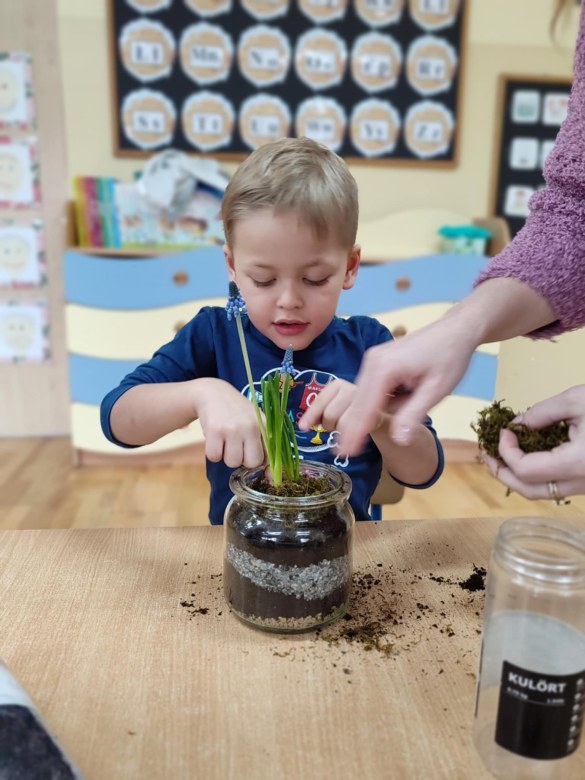 Tygryski: Styczeń 2026 - Zdjęcie 32