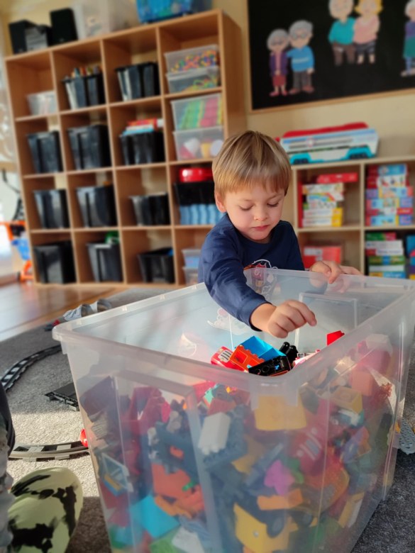 Tygryski: Styczeń 2026 - Zdjęcie 71