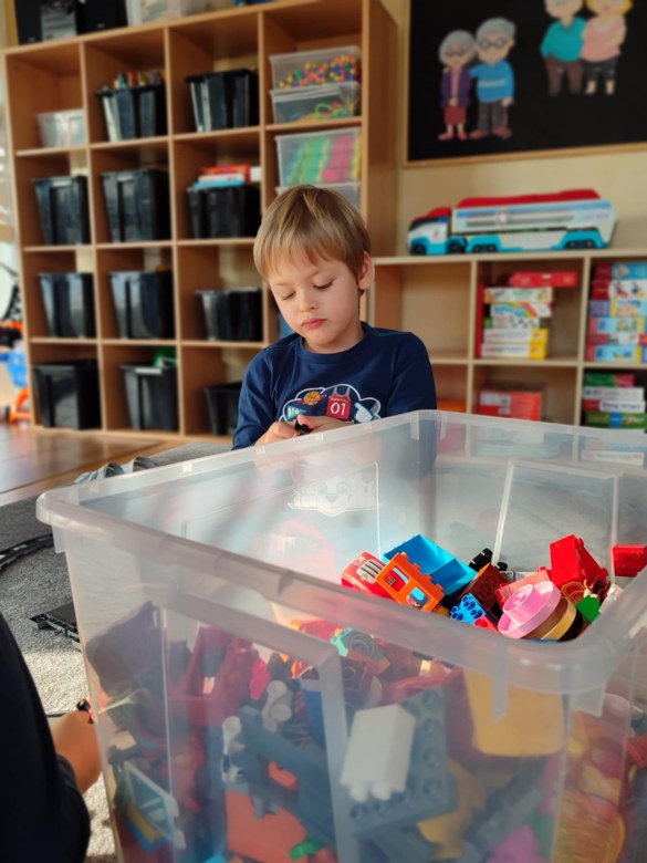 Tygryski: Styczeń 2026 - Zdjęcie 47