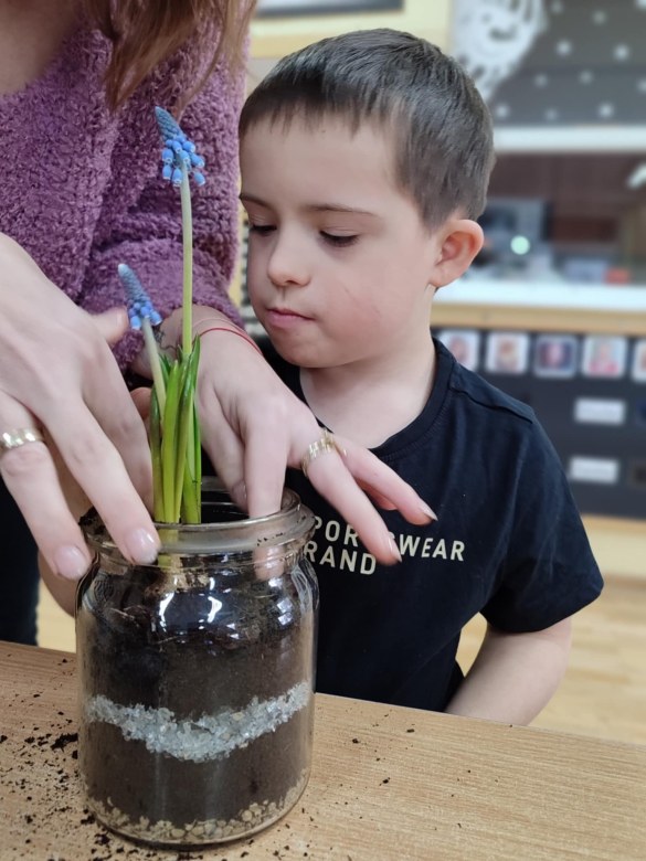 Tygryski: Styczeń 2026 - Zdjęcie 59