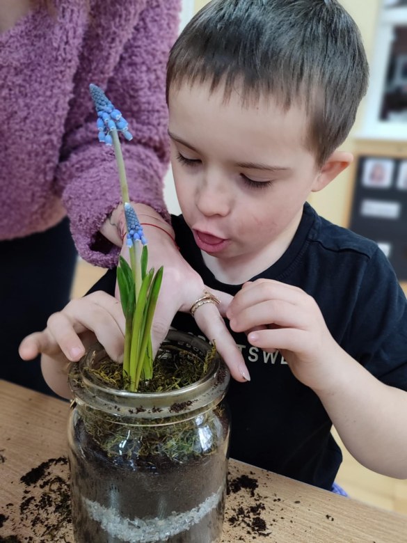 Tygryski: Styczeń 2026 - Zdjęcie 68