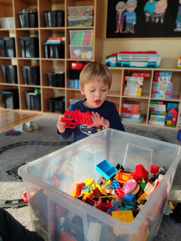 Tygryski: Styczeń 2026 - Zdjęcie 74